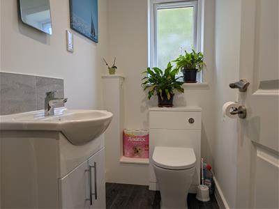Picture 15
